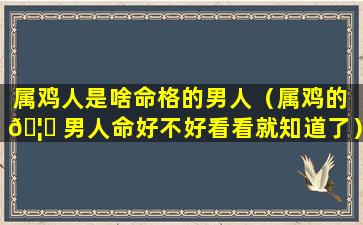 属鸡人是啥命格的男人（属鸡的 🦁 男人命好不好看看就知道了）